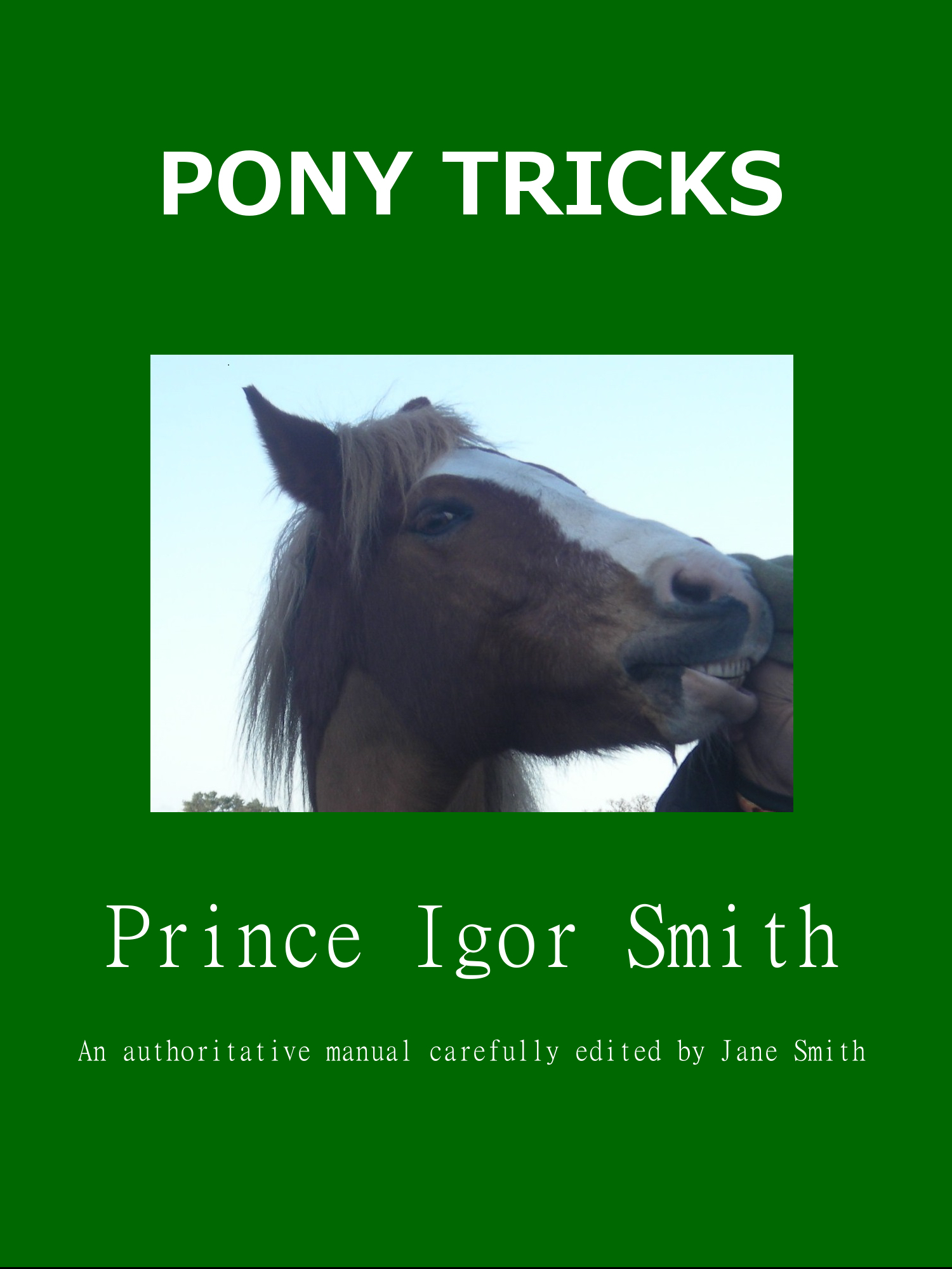 Pony Tricks cover